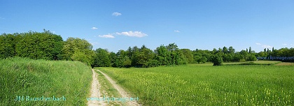 coline-de-oberhausbergen.panoramique