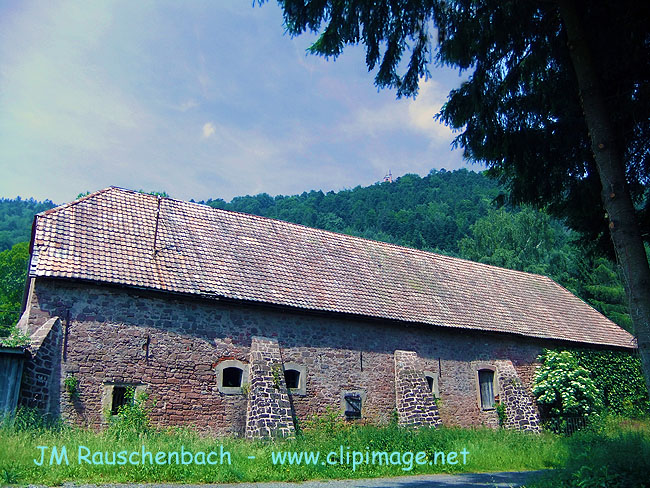 ancienne-abayie.niedermunster.alsace.alsace.jpg