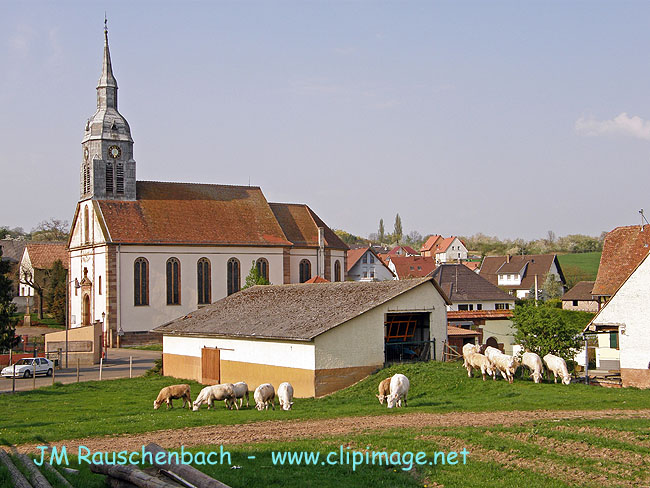 avenheim.alsace.jpg