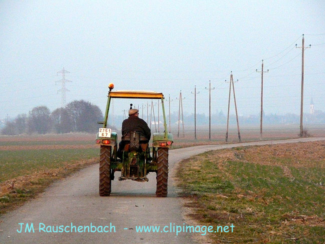 champs a hindisheim.alsace.jpg