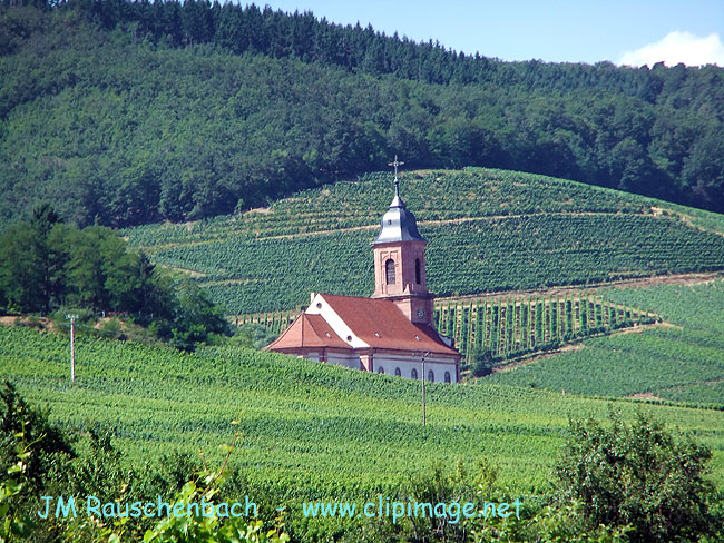 chapelle-dans-levignoble.orschwiller.alsace.alsace.jpg