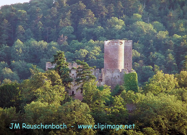 chateau-de-la-volerie-des-aigles.alsace.alsace.jpg