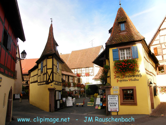 chez freudenreich,viticulteur a eguisheim.JPG