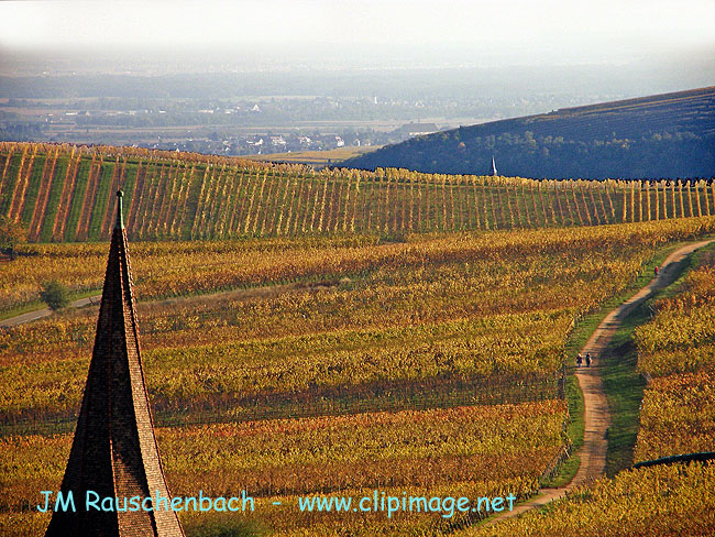 clocher de niedermorshwihr, promenage vers turkheim.alsace.jpg