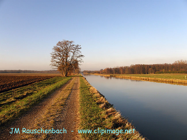 eckwersheim en novembre,.alsace.jpg