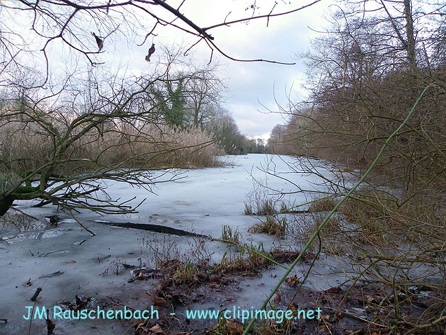 etang gele a la robertsau,strasbourg.alsace.jpg