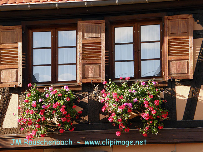 fenetre,geranium.alsace.jpg