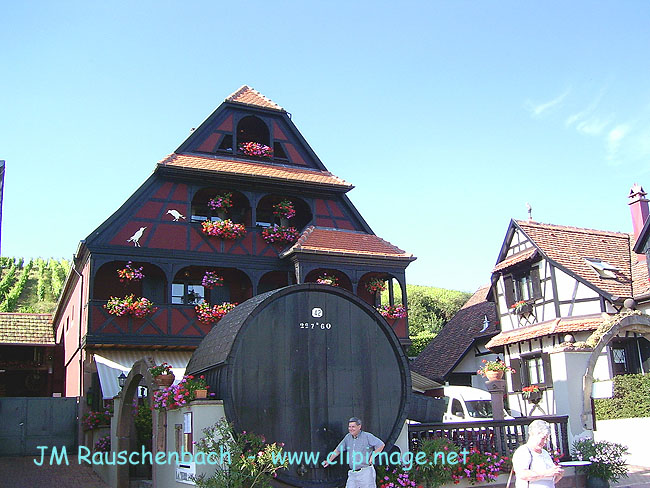 fut geant a ittenwiller.alsace.jpg