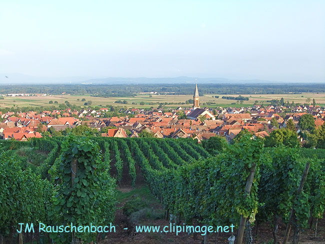 kintheim.vu-du-vignoble.alsace,.alsace.jpg