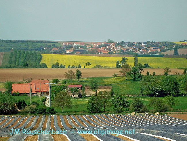 kochersberg 2.alsace.jpg