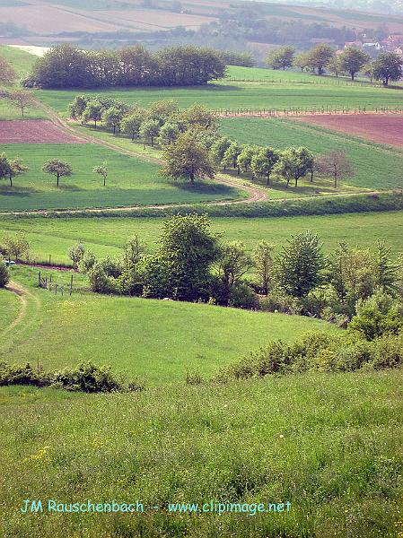 kochersberg en mai.alsace.jpg