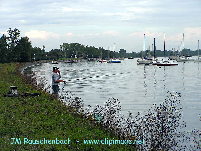 le rhin, plobsheim.alsace.jpg