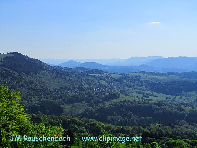 le,bambois,alsace,1.alsace.jpg