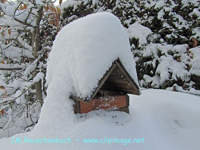 maison-pour-oiseaux.alsace.jpg