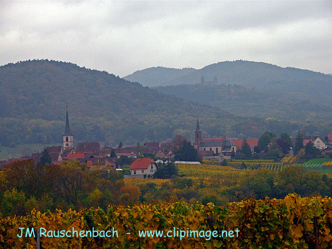 mittelbergheim et ruines d andlau au fond.alsace.jpg