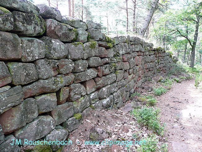 mur paien au mont sainte odile.alsace.jpg