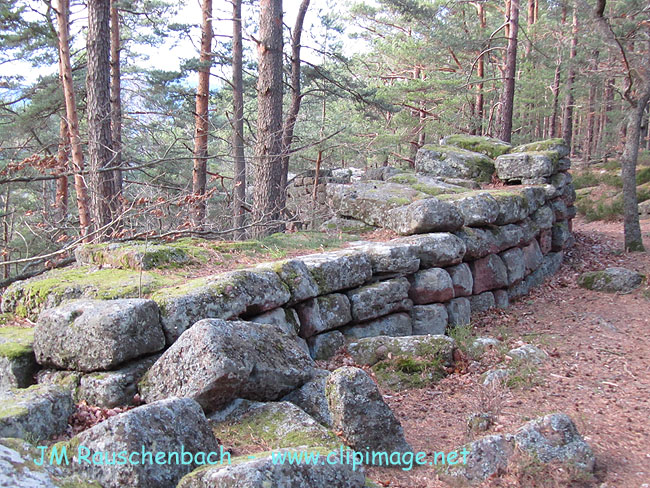 mur-paien.mont-sainte-odile.alsace.alsace.jpg