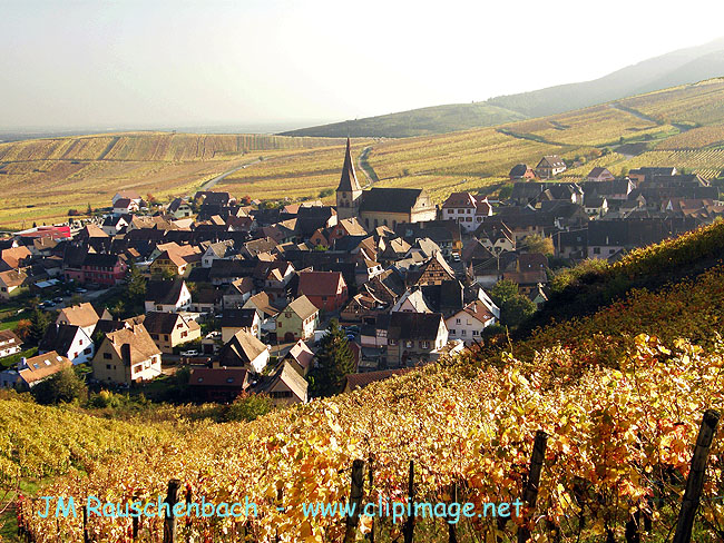 niedermorshwihr...alsace.jpg