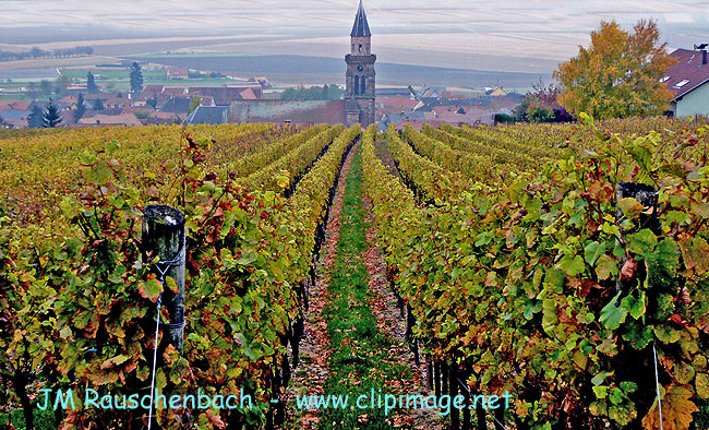 nordheim,vignoble et village,alsace.alsace.jpg