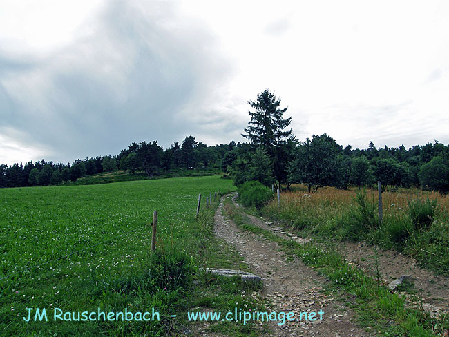 orbey,montagne.alsace.jpg