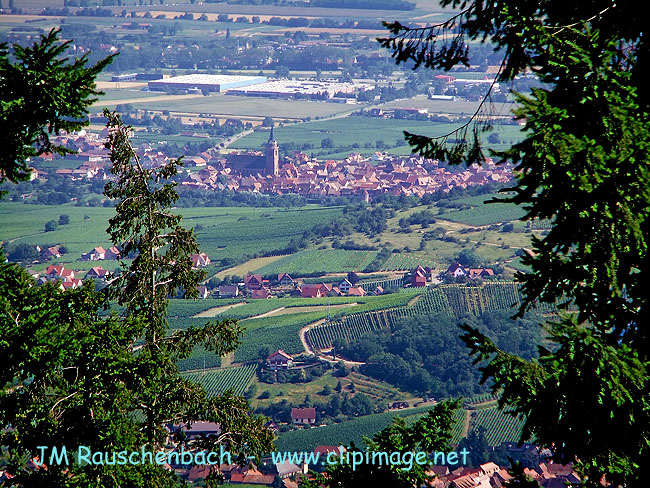 orschwiller-saint-hippolyte.vu-du-haut-koenigsbourg.alsace.jpg