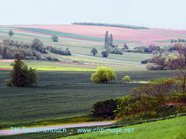 photo.kochersberg.mai.alsace.1.alsace.jpg