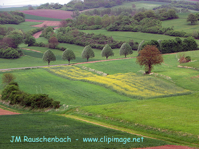 photo.kochersberg.mai.alsace.8.alsace.jpg