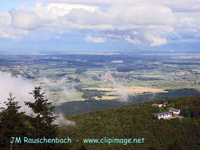 plaine d alsace vu du mont sainte odile.alsace.jpg