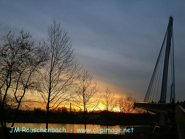 rhin et passerelle mimram,strasbourg,kehl,hiver.alsace.jpg