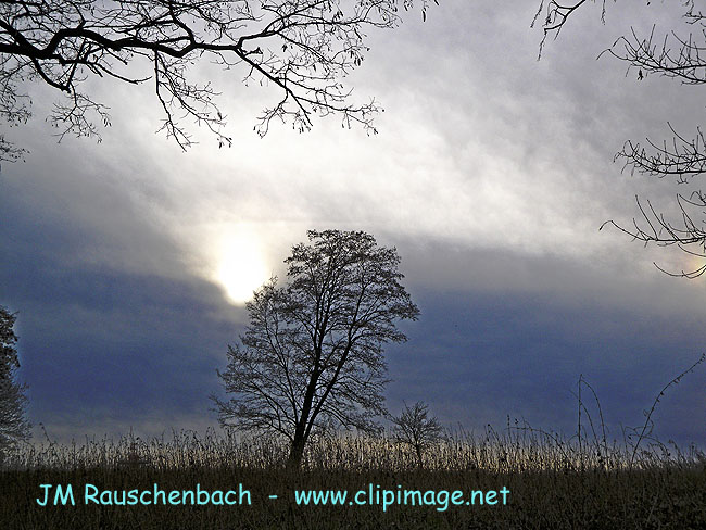 tableau.hivernal.alsace.jpg