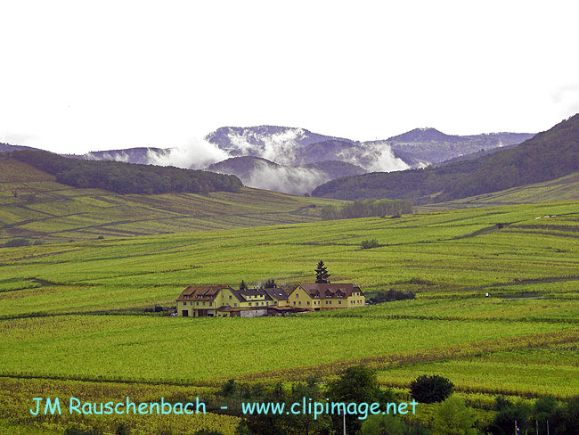 vers beblenheim.alsace.jpg