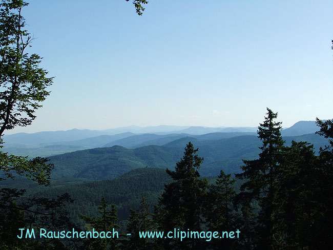 vosges-alsaciennes.3.alsace.jpg