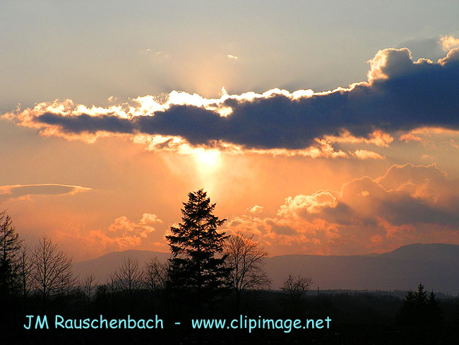 vu a mittelhaubergen, au fond, les vosges.alsace.jpg