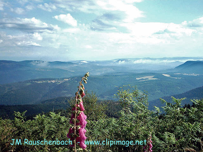 vue sur les vosges,du donon,alsace.alsace.jpg