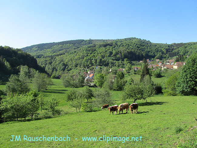 waldersbach,alsace,1.alsace.jpg