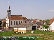 avenheim.alsace