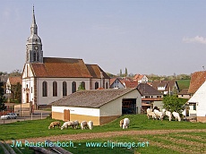 avenheim.alsace