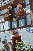 belle-maison-alsacienne.st-hippolyte.alsace