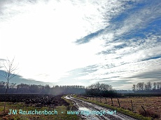 campagne a lipsheim en hiver.alsace