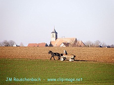 campagne,dingsheim.alsace