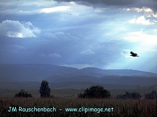 campagne.strasbourg-nord.alsace.2.alsace