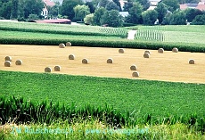 campagne.strasbourg-nord.alsace.6.alsace