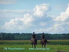 cavaliers-centre-equestre-eckwersheim.alsace.alsace