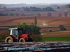 champs a gougenheim.alsace