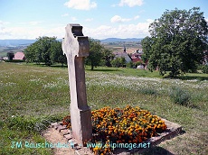 chemin de croix, golsberg, hohengoft,alsace.alsace