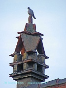 cheminee,oiseau.alsace