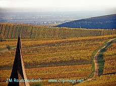 clocher de niedermorshwihr, promenage vers turkheim.alsace