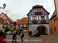 degustation de vins a eguisheim.alsace