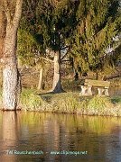 eckbolsheim, etang de peche.alsace