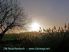 eckwersheim en novembre...alsace